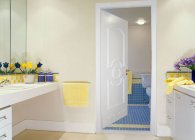 Двери для ванной из металлопластика и других материалов